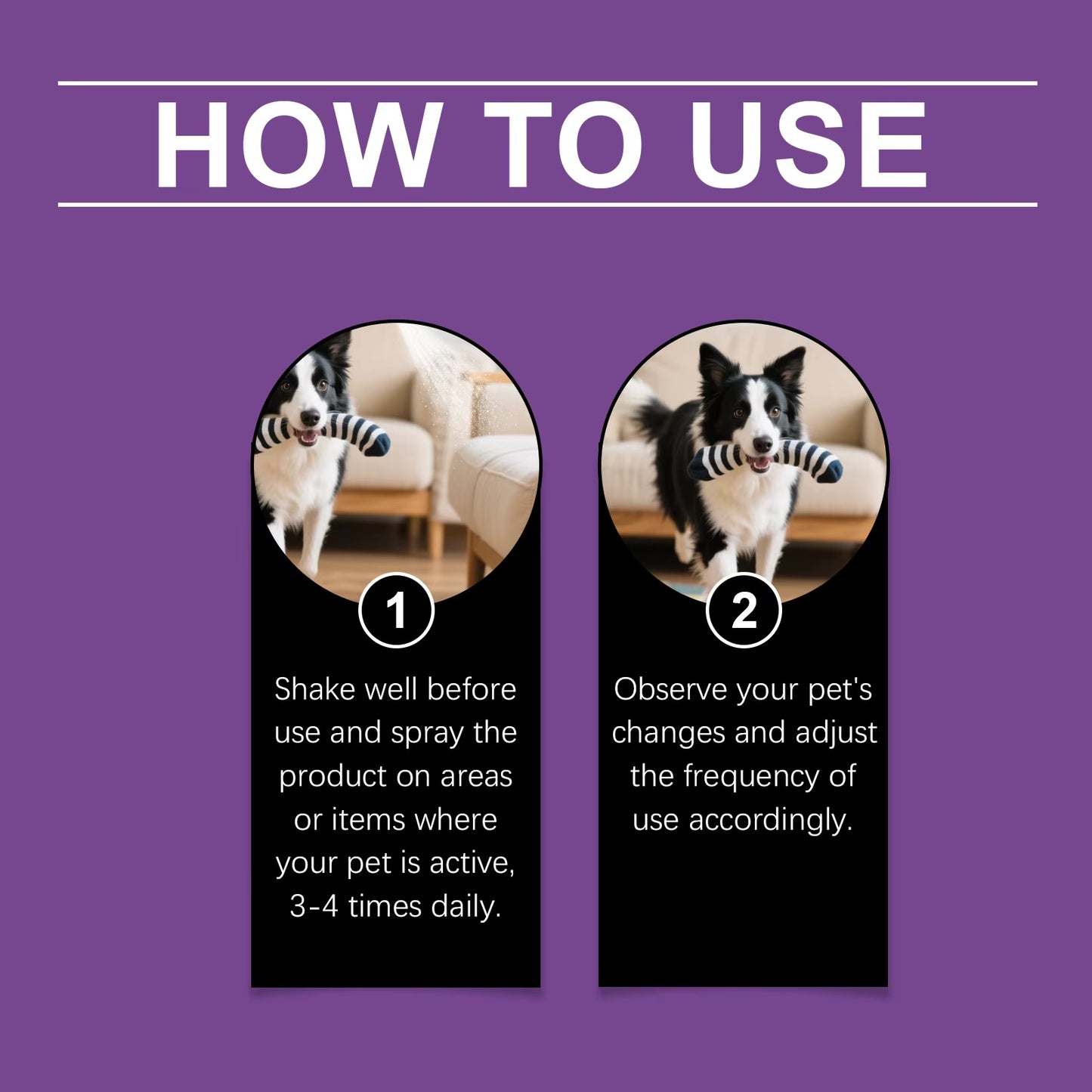 Vetality Harmony Pet Calming Spray for Dogs – 1.62 fl oz | Anxiety & Stress Relief