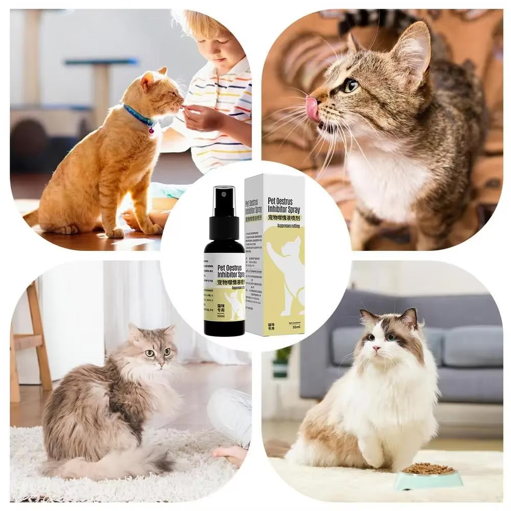50ml Cat Calming Pheromone Spray – Reduce Anxiety & Stress