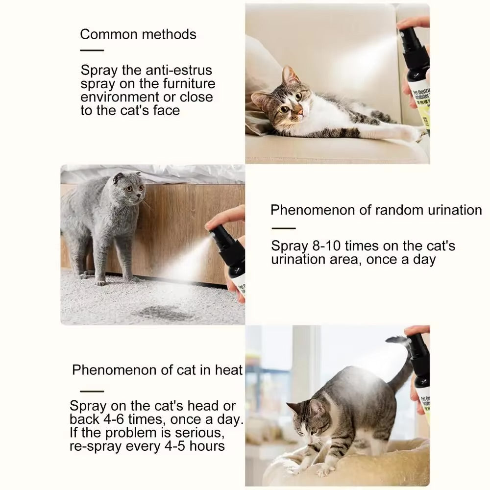 50ml Cat Calming Pheromone Spray – Reduce Anxiety & Stress