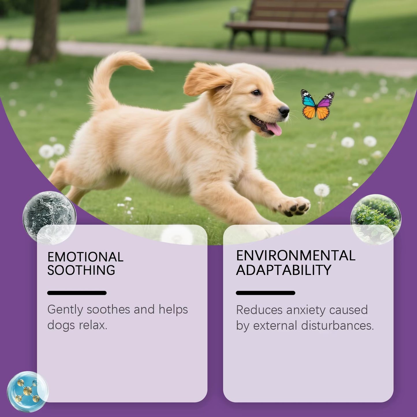 Vetality Harmony Pet Calming Spray for Dogs – 1.62 fl oz | Anxiety & Stress Relief