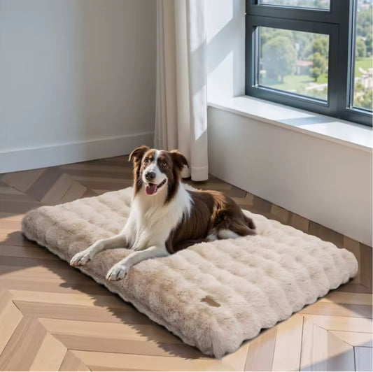 CozyCalm Pet Bed — Plush Anti-Anxiety Dog & Cat Bed (Medium / Large / XL / XXL)